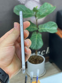 ایفون 6s